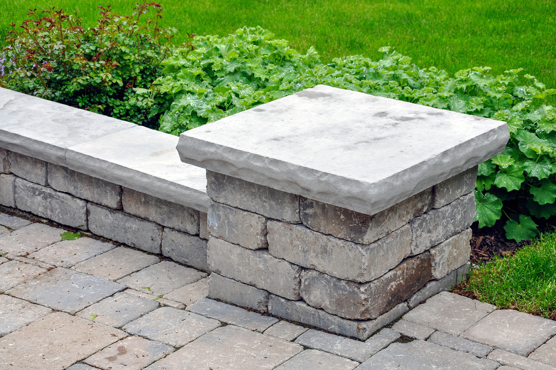 Backyard Remodeling in Los Angeles