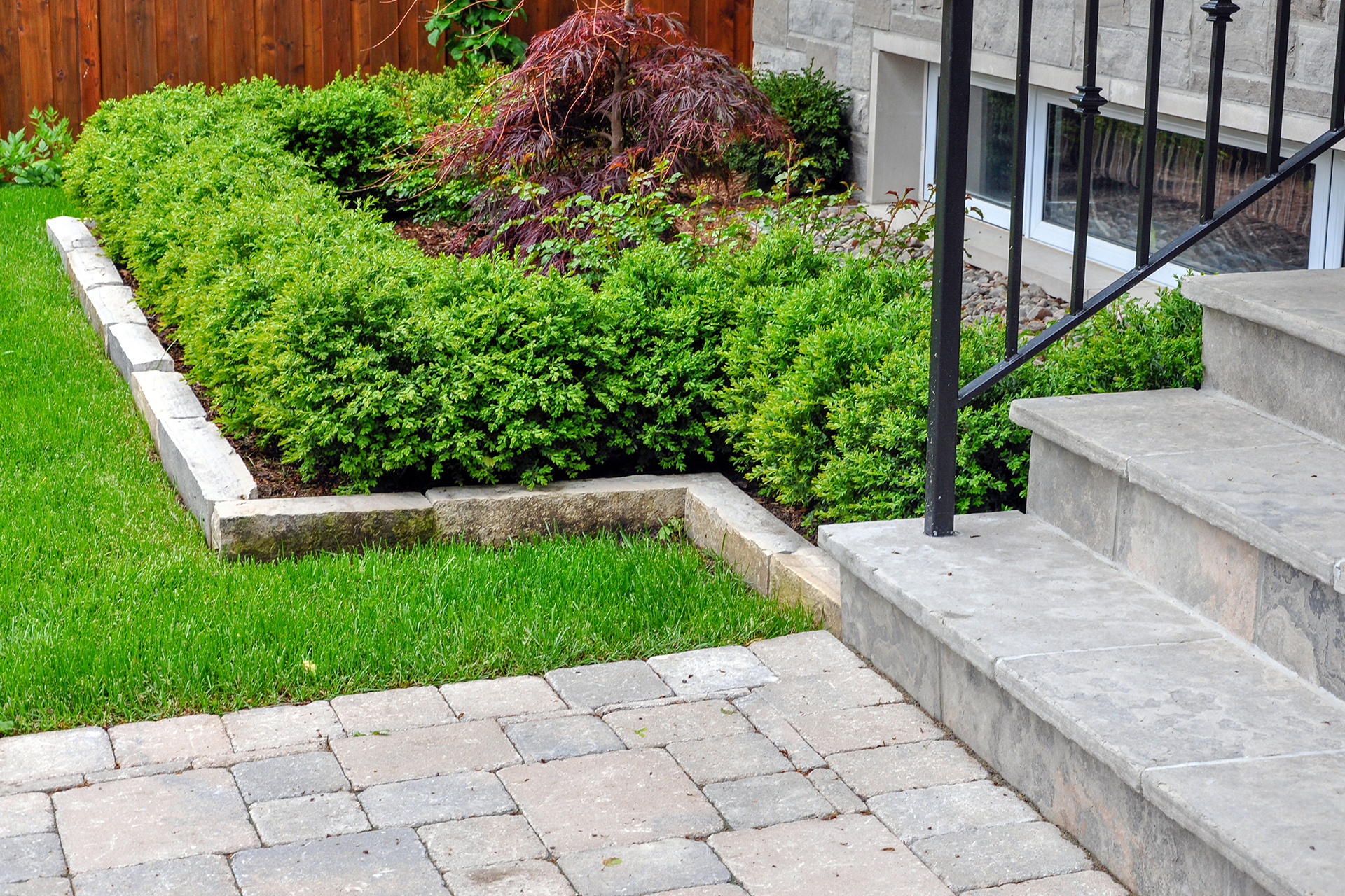 Trimmed boxwood garden bed near backyard entry
