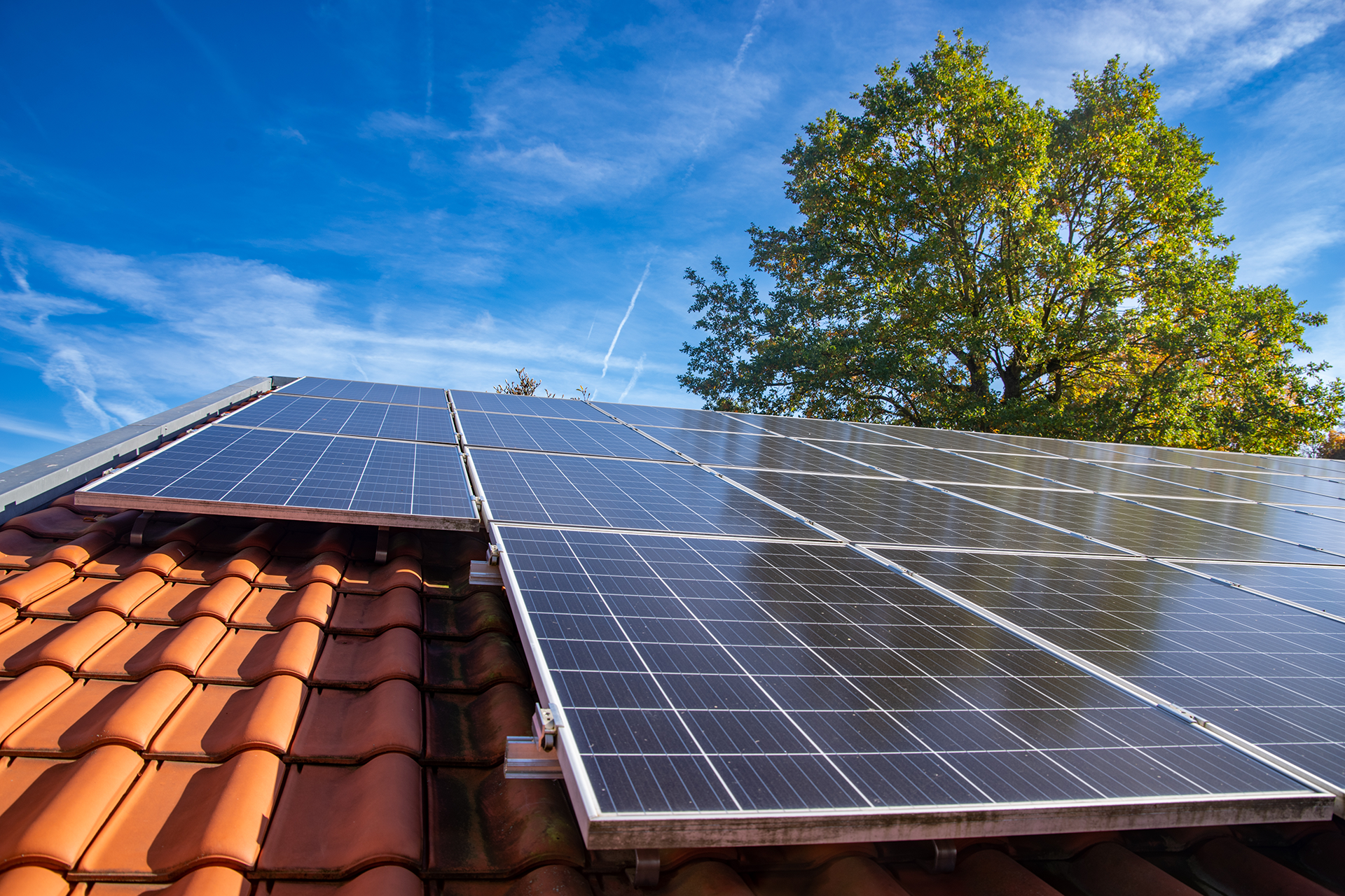 Close-up of solar panels mounted on a shingle roof